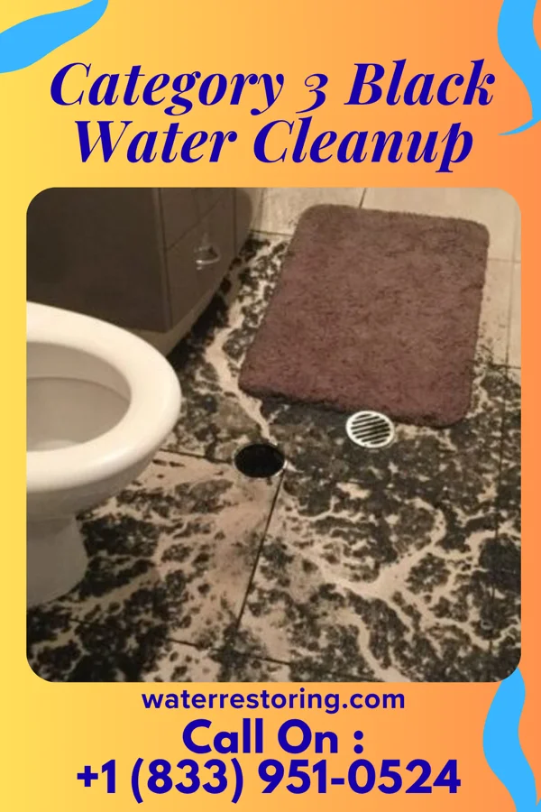 Category 3 Black Water Cleanup in Quincy, MA